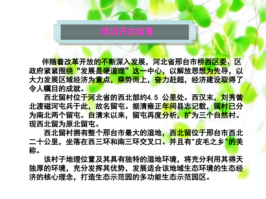 西北留规划正式.ppt_第2页