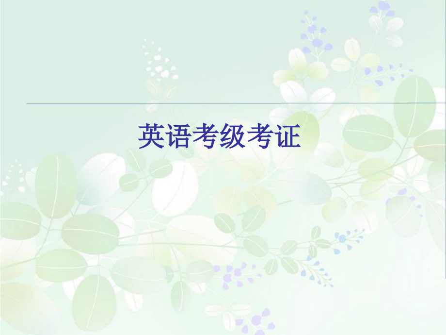 英语师范生考证建议(优秀教师的经验分享).ppt_第1页