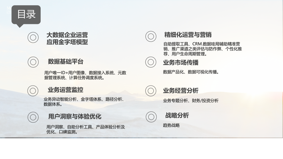 大数据应用于企业运营(ppt文档).ppt_第2页