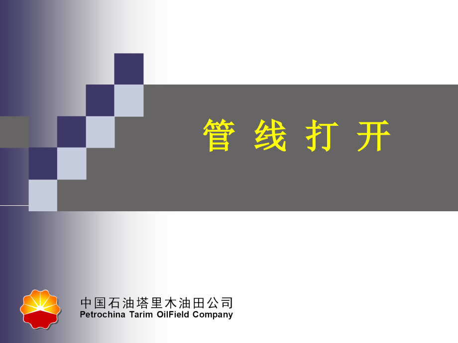 管线打开(ppt文档).ppt_第1页