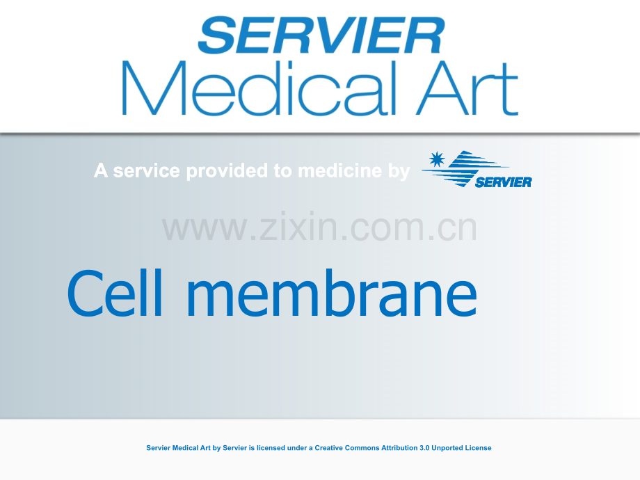 科研绘图素材细胞.pptx_第1页
