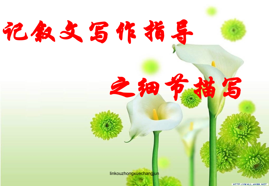 十一细节描写资料.pptx_第1页