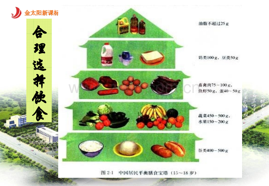 化学新人教版选修12-1合理选择饮食.pptx_第1页