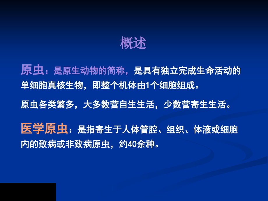 阿米巴原虫鞭毛虫.pptx_第2页