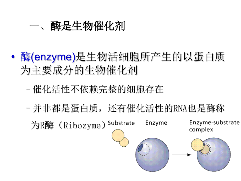 附生化酶.pptx_第1页
