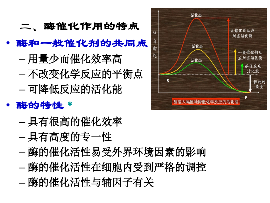附生化酶.pptx_第2页