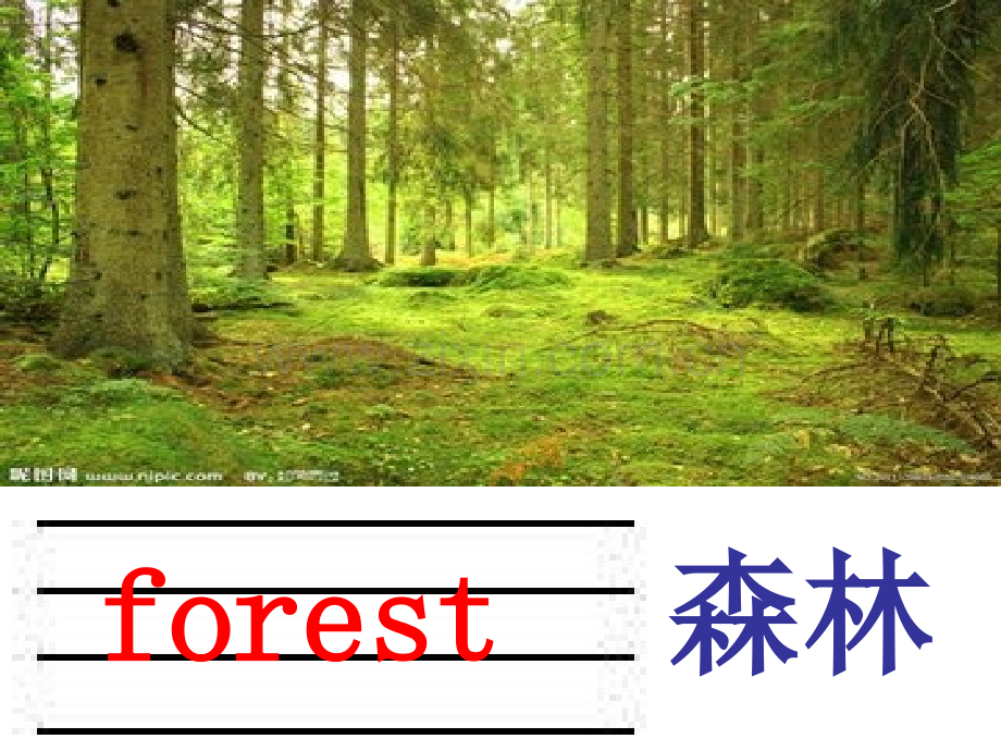 Lesson10Wheredotheylive.pptx_第2页