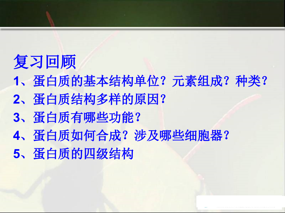 高三生物选修三——14蛋白质工程崛起.pptx_第2页