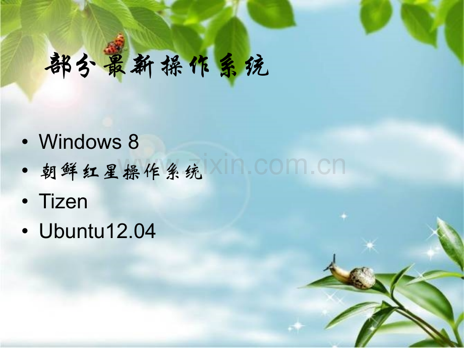 操作系统修改.pptx_第2页