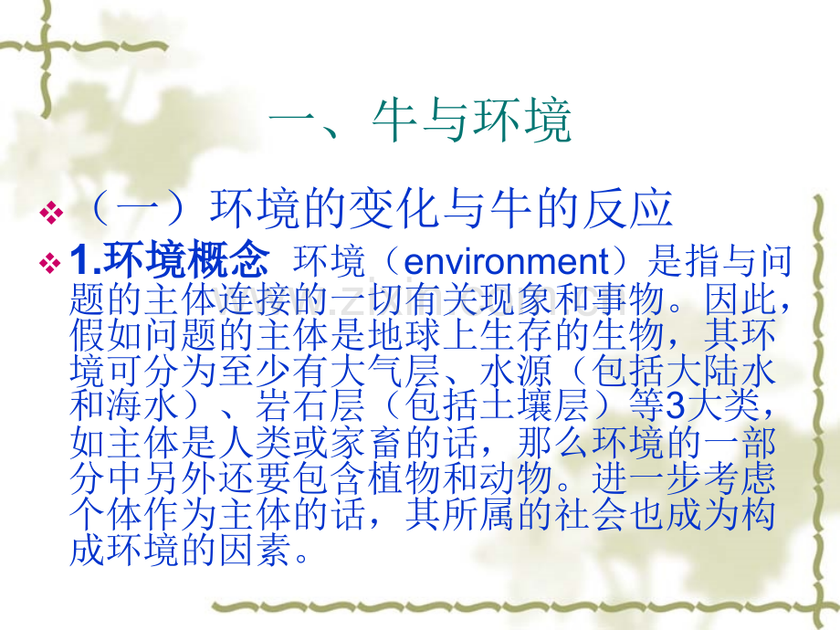 牛生产学.pptx_第1页