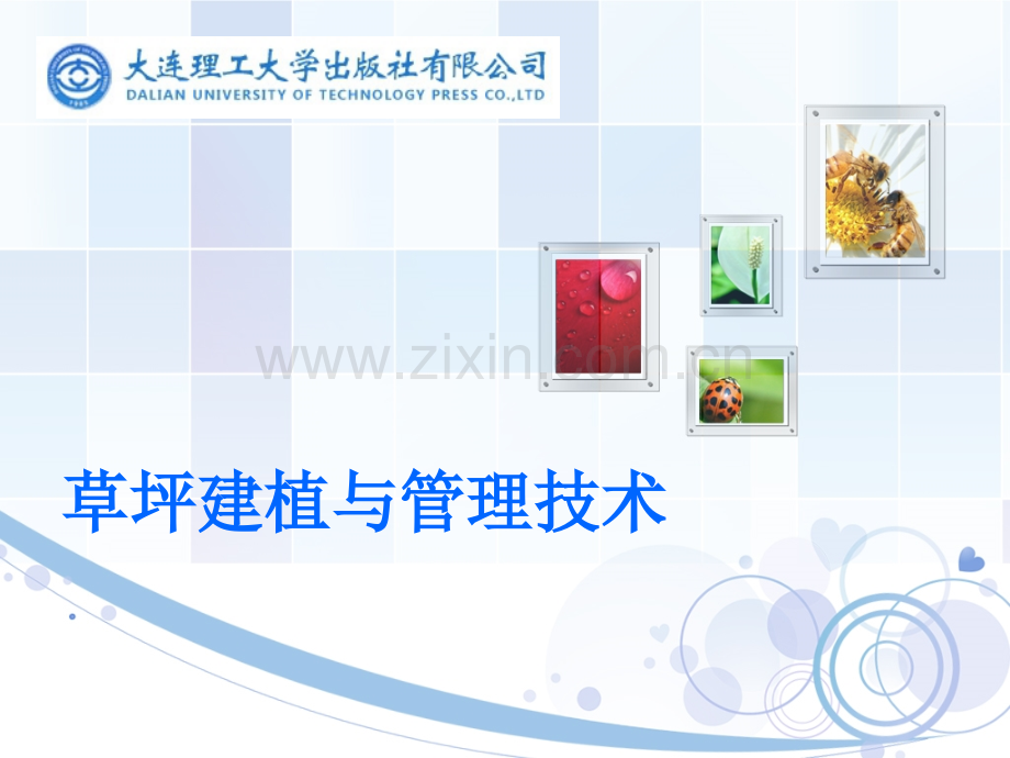 草坪建植与管理技术模块三.ppt_第1页