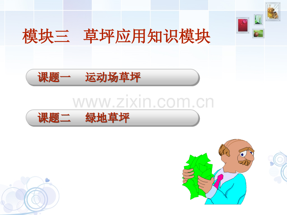 草坪建植与管理技术模块三.ppt_第2页