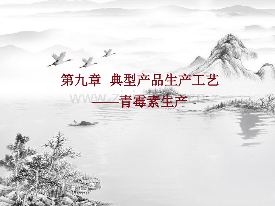 第九章-典型产品生产工艺.ppt_第1页