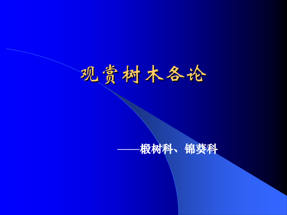 阔叶类(椴树科、锦葵科)教学教程.ppt_第1页