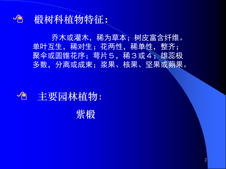阔叶类(椴树科、锦葵科)教学教程.ppt_第2页