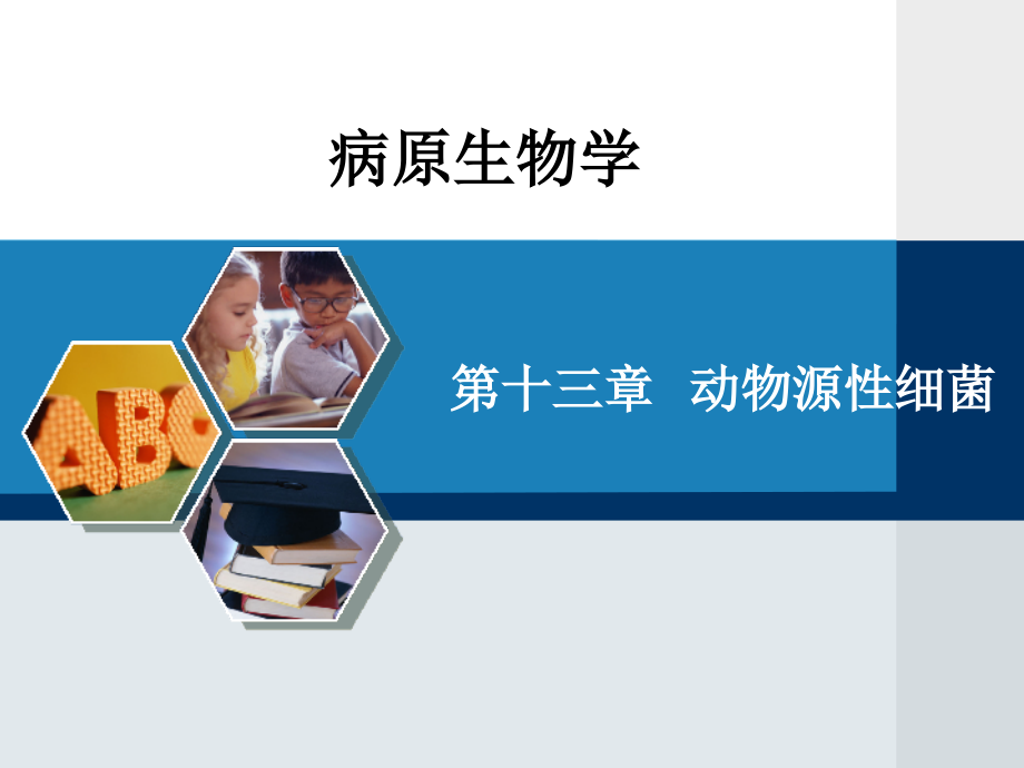 病原生物学-教程-第十三章--动物源性细菌.ppt_第1页