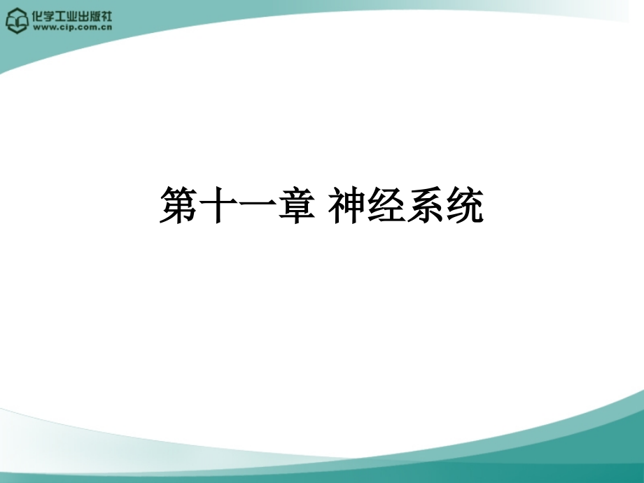 畜禽解剖与组织胚胎学第十一章-神经系统.ppt_第1页