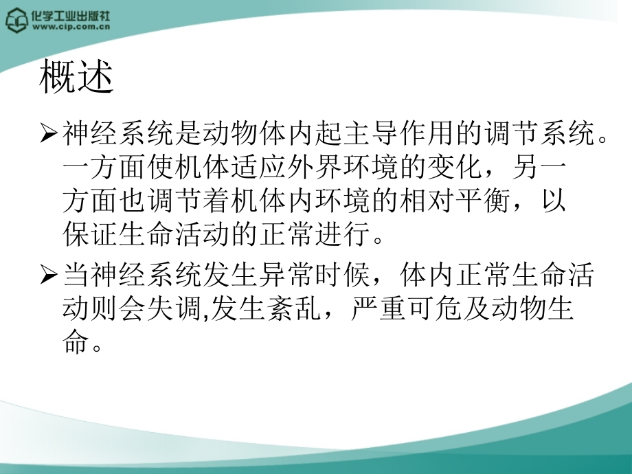 畜禽解剖与组织胚胎学第十一章-神经系统.ppt_第2页