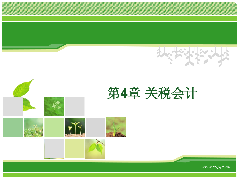 第4章-关税会计自考成人专科本科课件.pptx_第1页