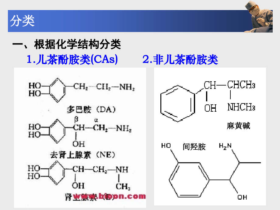 成教高职《药理学》第8章--拟肾上腺素药.pptx_第2页
