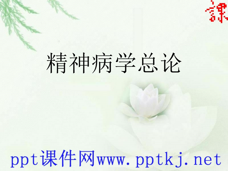 精神病学总论教学教程.ppt_第1页