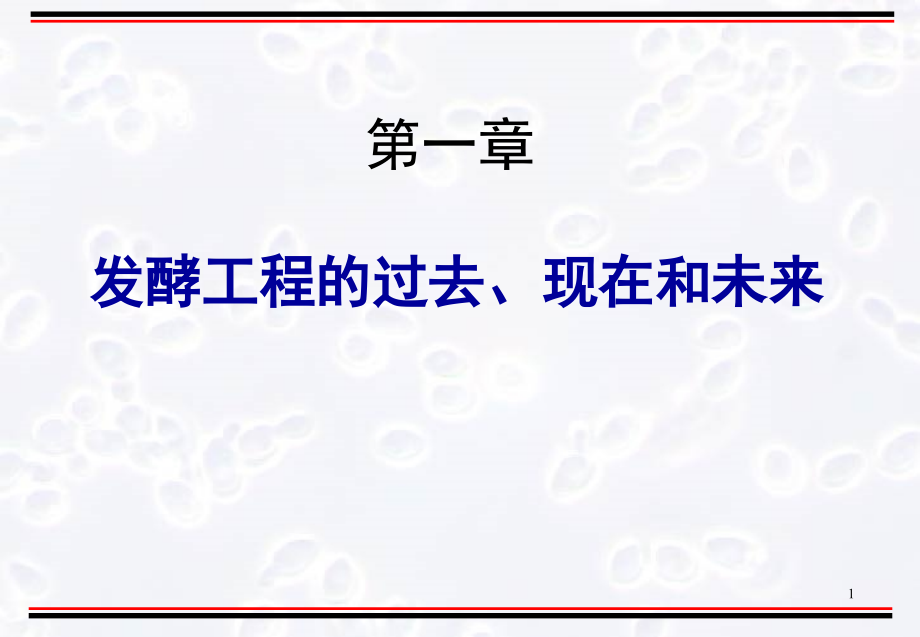 发酵工程原理与技术-课件.ppt_第1页