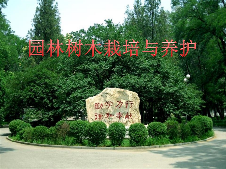 园林树木栽培与养护课件.ppt_第1页