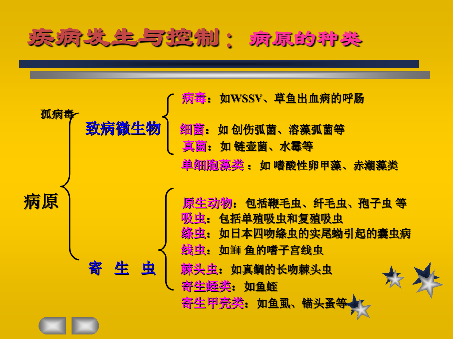 水产动物疾病发生的原因教学教程.ppt_第2页