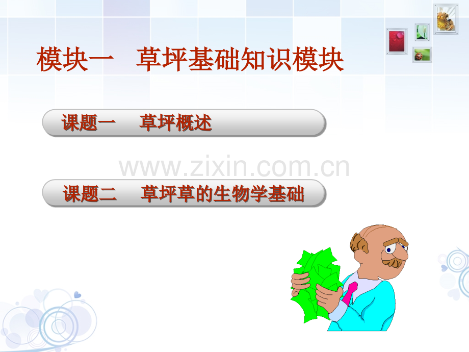 草坪建植与管理技术模块一.ppt_第2页
