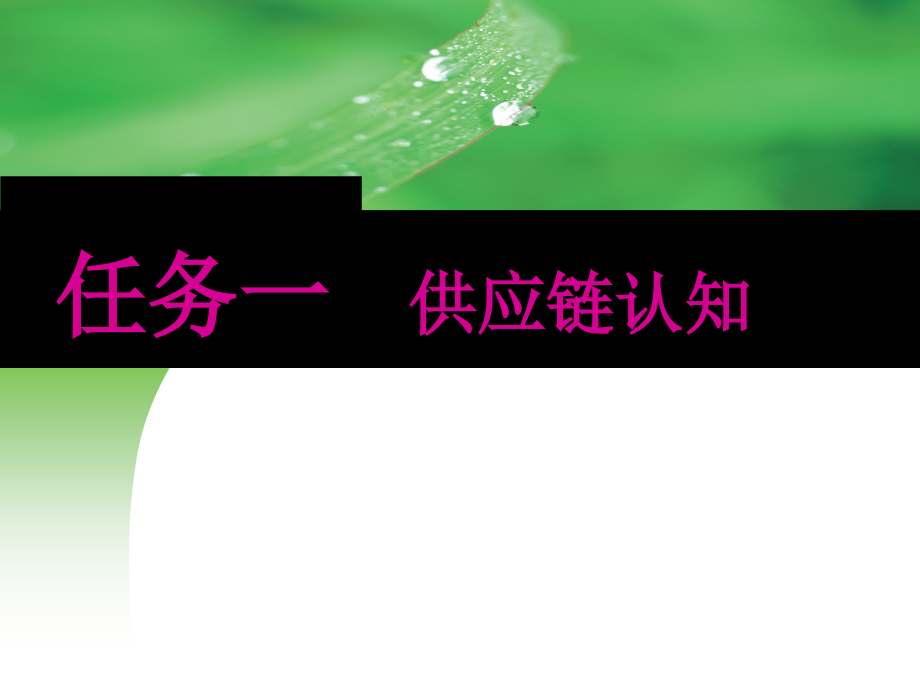 供应链管理实务课件全书教学教程电子教案幻灯片.ppt_第2页