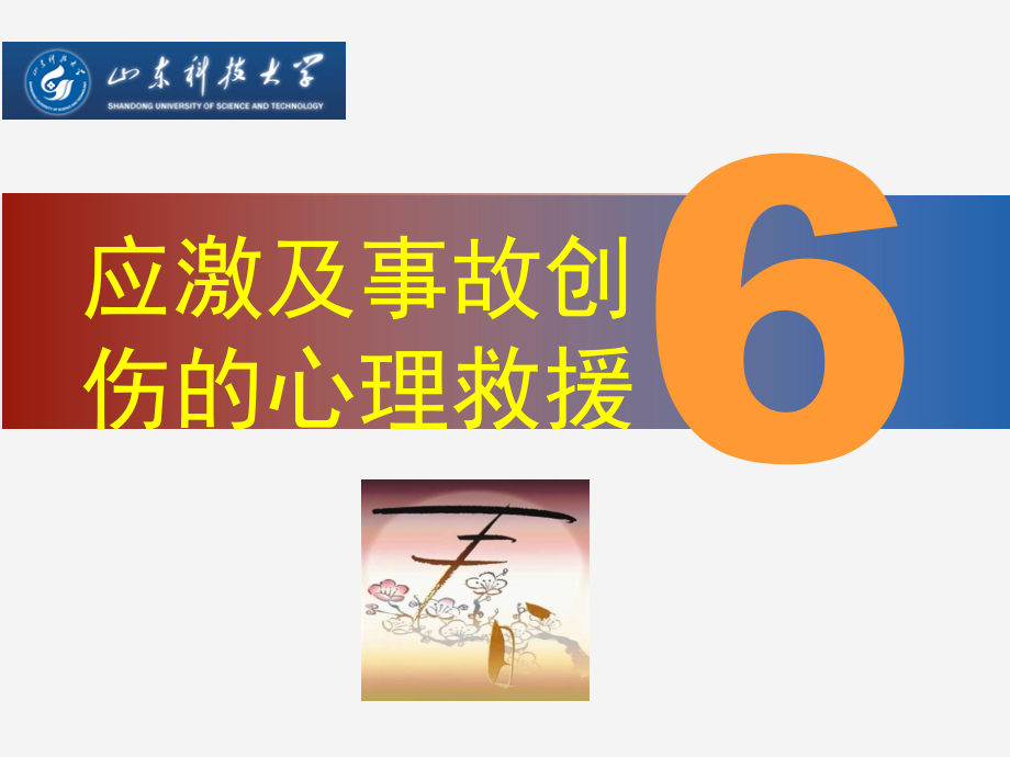 安全心理学教学ppt-课件6第6章应激及事故创伤的心理救援.ppt_第2页