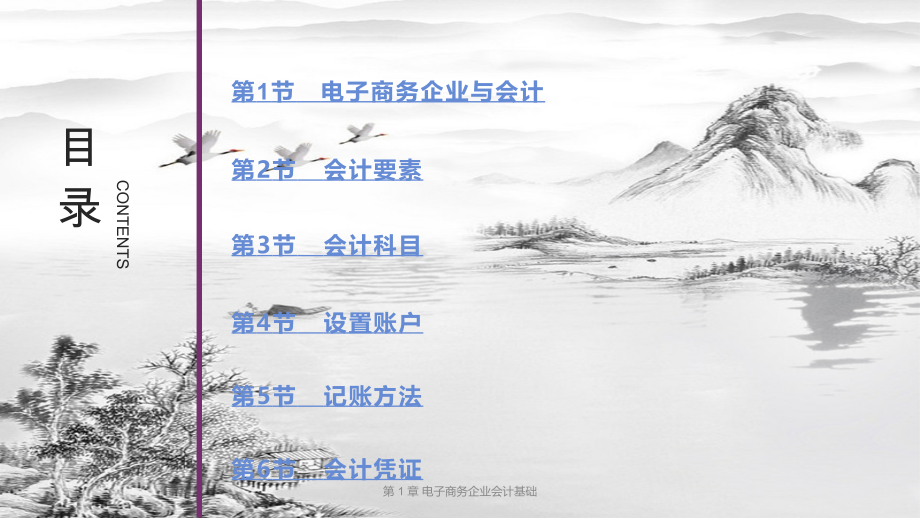 第-1-章-电子商务企业会计基础.pptx_第2页
