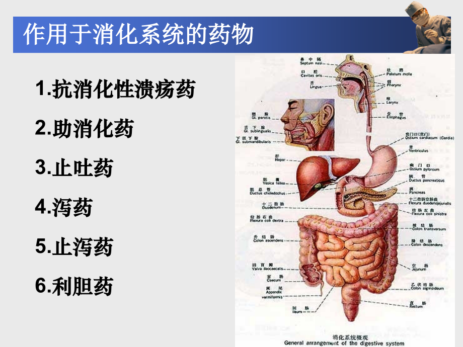 成教高职《药理学》第27章--作用于消化系统药.pptx_第2页