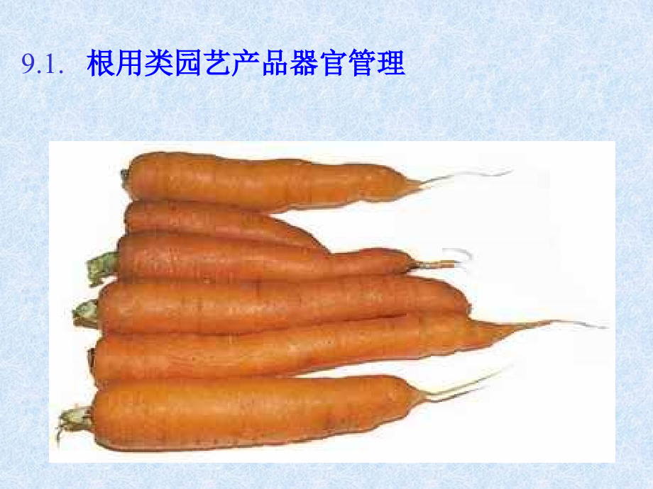 园艺植物产品器官管理教学教程.ppt_第2页