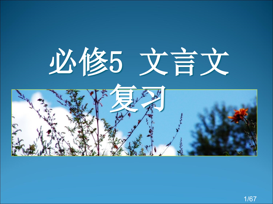 必修5-文言文复习省名师优质课赛课获奖课件市赛课百校联赛优质课一等奖课件.ppt_第1页