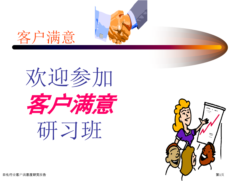 日化行业客户满意度研究报告.pptx_第1页