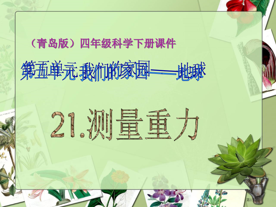测量重力青岛版四年级下册科学市名师优质课比赛一等奖市公开课获奖课件.pptx_第1页