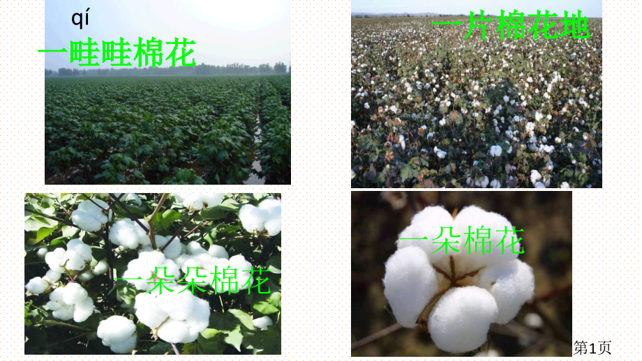 部编版一下19课棉花姑娘省名师优质课赛课获奖课件市赛课一等奖课件.ppt_第1页