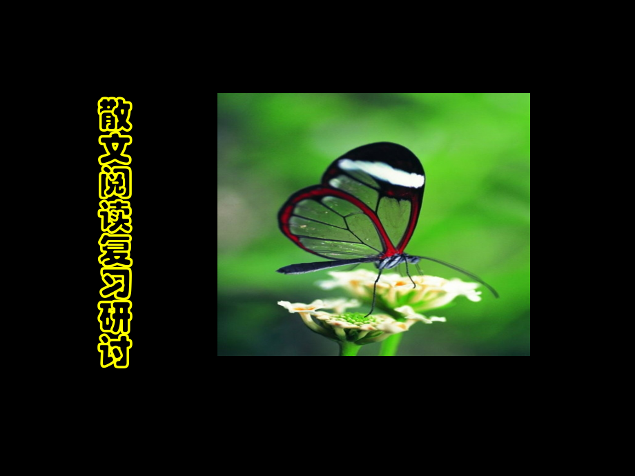 散文阅读复习课件省名师优质课赛课获奖课件市赛课百校联赛优质课一等奖课件.ppt_第2页