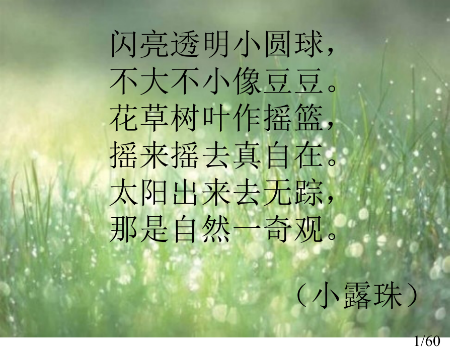 小露珠-小学课件省名师优质课赛课获奖课件市赛课百校联赛优质课一等奖课件.ppt_第1页