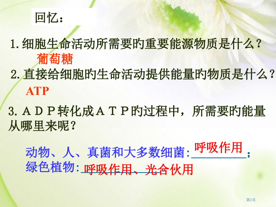 细胞呼吸公开课用省名师优质课赛课获奖课件市赛课百校联赛优质课一等奖课件.pptx_第1页