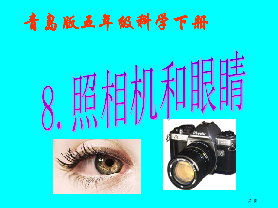 照相机和眼睛青岛版五年级下册科学市名师优质课比赛一等奖市公开课获奖课件.pptx_第1页