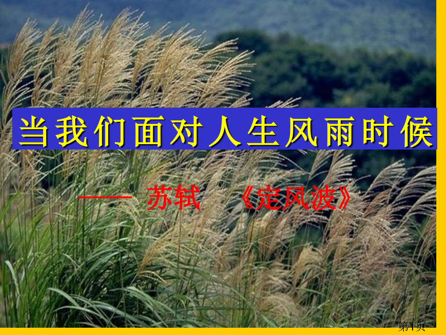 定风波优秀公开课名师优质课获奖市赛课一等奖课件.ppt_第1页