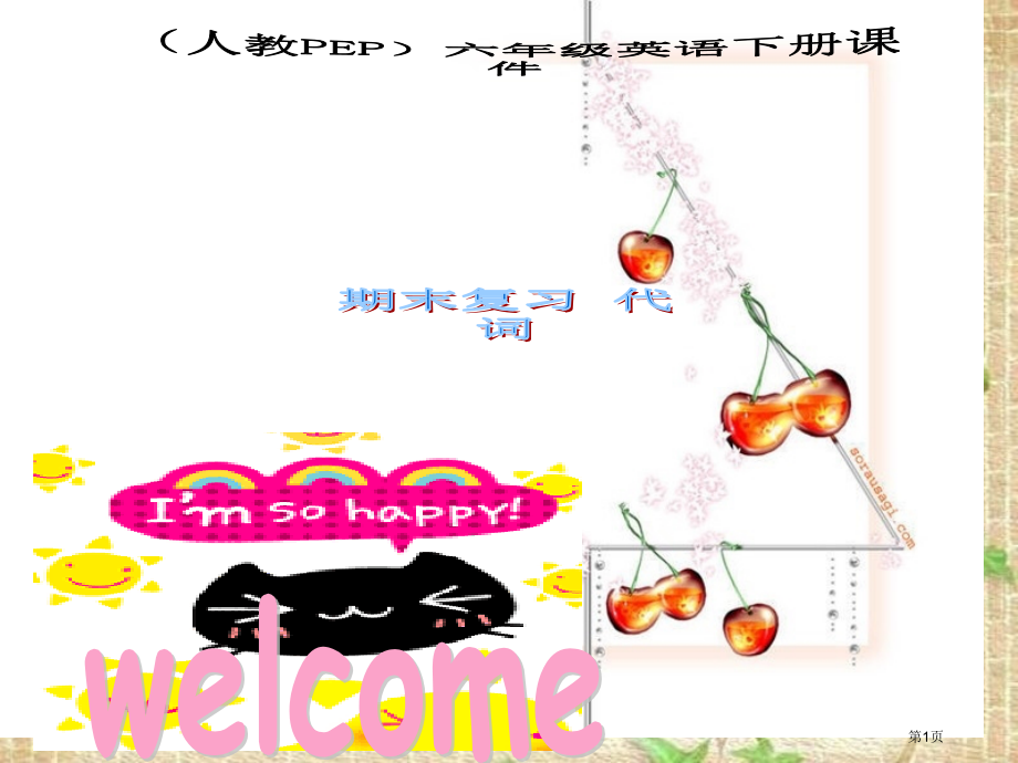 期末复习代词人教PEP六年级英语下册市名师优质课比赛一等奖市公开课获奖课件.pptx_第1页