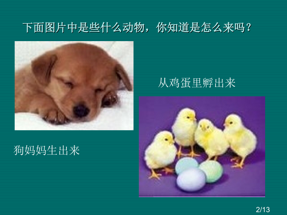 教科版科学三下植物新生命的开始省名师优质课赛课获奖课件市赛课一等奖课件.ppt_第2页