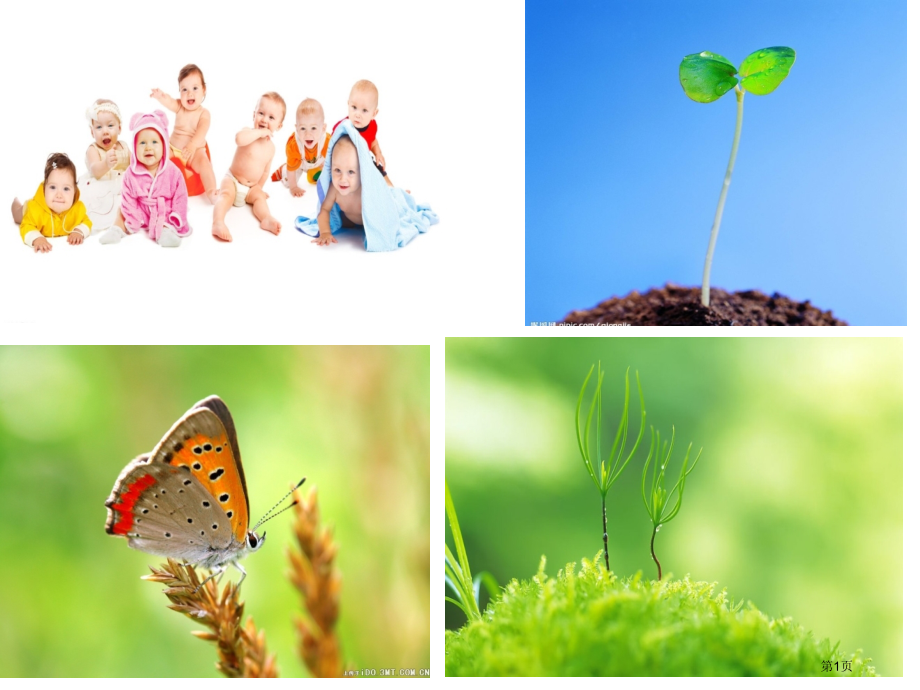 四年级上册语文15生命生命市公开课一等奖省优质课赛课一等奖课件.pptx_第1页