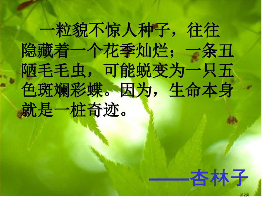四年级上册语文15生命生命市公开课一等奖省优质课赛课一等奖课件.pptx_第2页