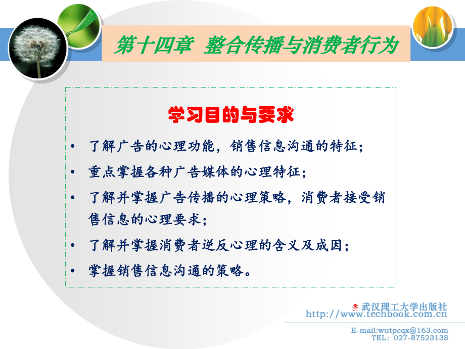 14整合传播与消费者行为.pptx_第2页