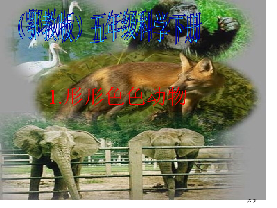 形形色色的动物2鄂教版五年级科学下册市名师优质课比赛一等奖市公开课获奖课件.pptx_第1页