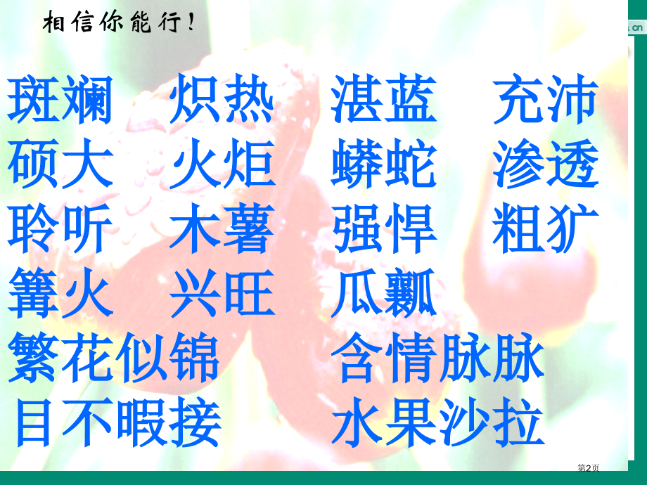彩色的非洲2人教新课标五年级语文下册市名师优质课比赛一等奖市公开课获奖课件.pptx_第2页